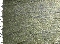 picture about 1013 - Venato