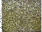 picture about 1083 - Cervello