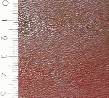 picture about 1202