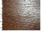 picture about 1237