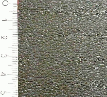 picture about 1346